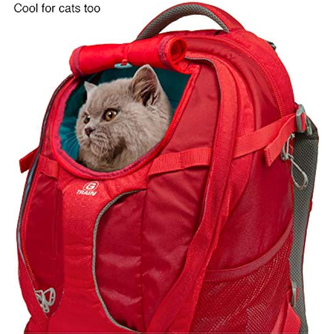 Kurgo G-Train Pack, Carrier Backpack for Small Dogs and Cats, Ideal for Hiking or Travel, Waterproof Bottom, Chili Red