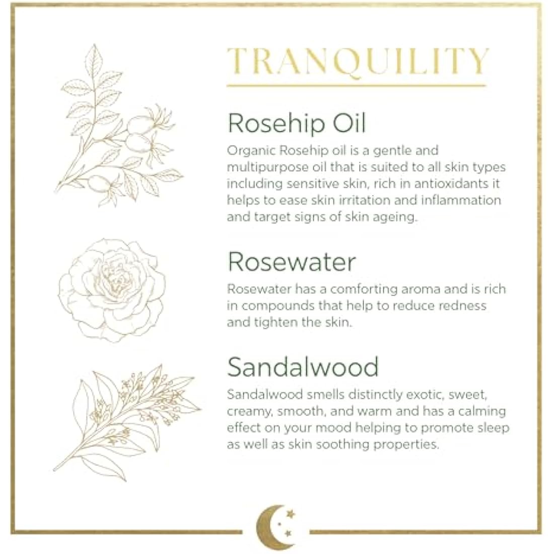 Dr Organic Evoke Tranquility Overnight Recovery Oil, Hydrating Night Serum, Restore Skin, with Rosehip & Sandalwood, Vegan, Natural, Certified Organic, 30ml