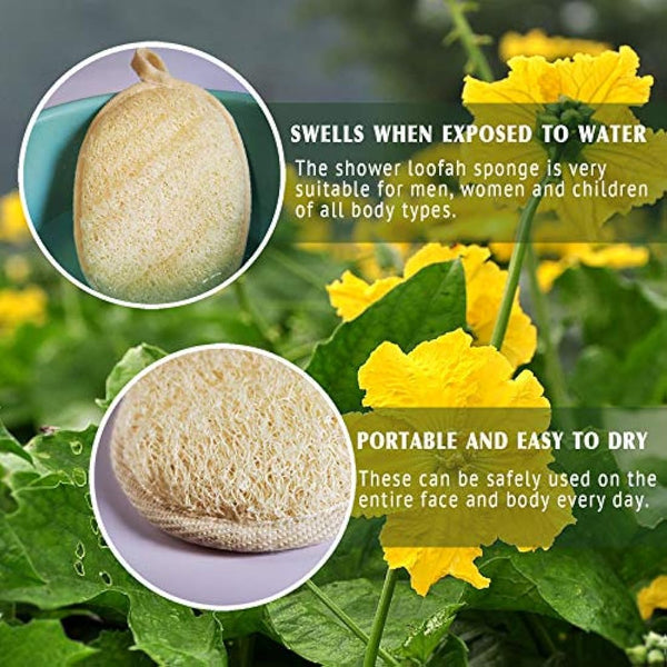 Natural Loofah Sponge Exfoliating Body Scrubber (3 Pack),Made with Eco-Friendly and Biodegradable Shower Luffa Sponge, Loofah for Women and Men, Beige…