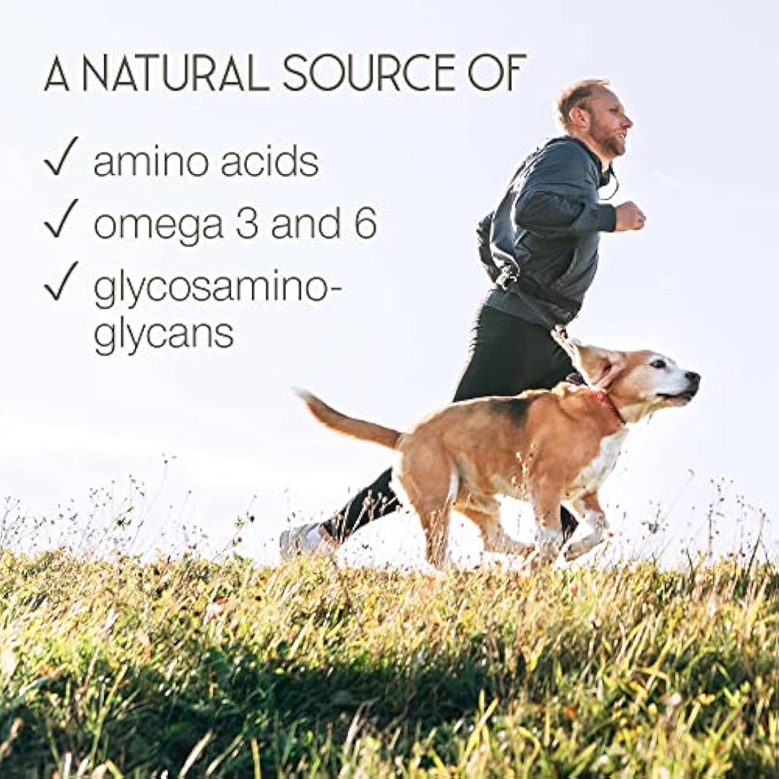 Green Lipped Mussel for Humans & Dogs - New Zealand Green Lipped Mussel Capsules 1000mg - High Strength Joint & Mobility Supplement with Omega 3-100% Pure Powder - 90 Tablets - Made in The UK