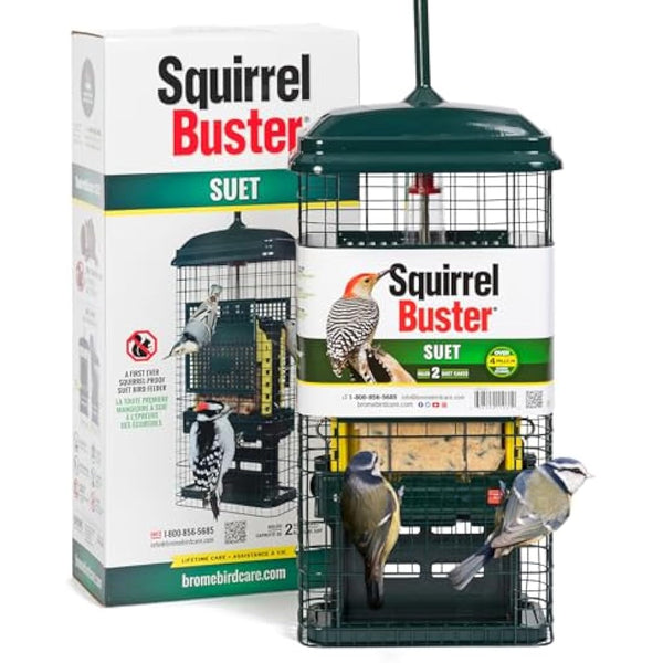 Squirrel-proof Bird Feeder for Suet Cakes - Jacobi Jayne Squirrel Buster Suet – Pigeon Proof Metal Bird Suet Feeder for Wild Birds – Easy Clean Hanging Suet Bird Feeder for Garden Birds