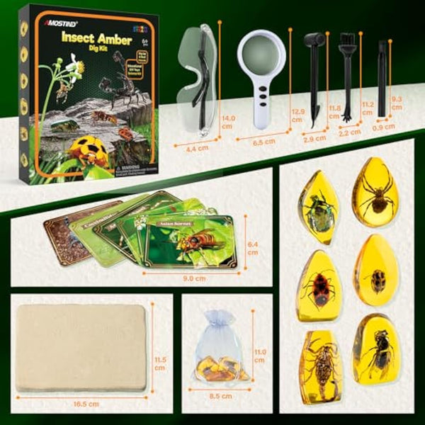 Amber Mega Fossil Dig Kit，Real Crystals & Gemstone Fossil Science Kits for Kids Age 6 7 8 9 10， Rocks & Stones & Bugs Excavation Kits， Educational Toys Gifts Toys for 6+ Year Old Girls Boys