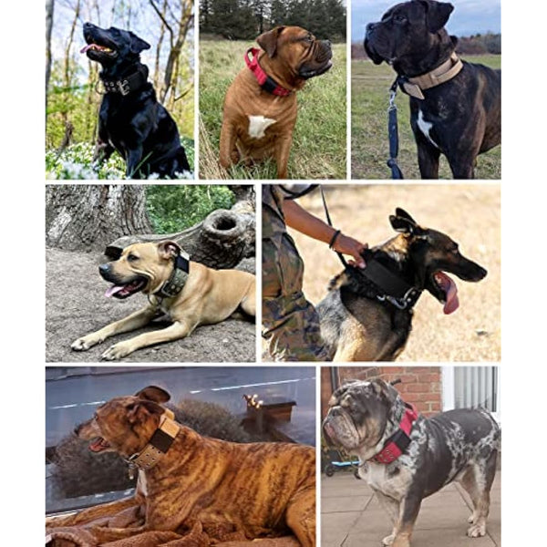 HQSHNY Dog Collar for Large Dogs - 5 cm Wide, Black, Neoprene & Nylon, Stainless Steel, Wide & Padded for Comfort & Safety, Handle for Extra Control, Suitable for Large Breeds, 56-66 cm