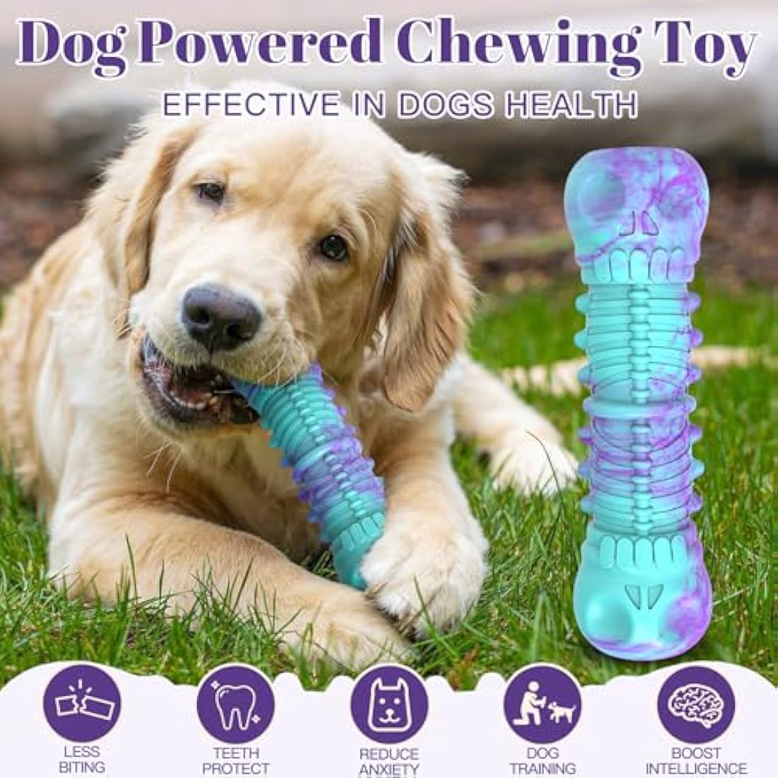 HETOO Dog Chew Toys Indestructible Dog Toys for Large Medium Breed Durable Rubber Squeaky Toy for Aggressive Chewers Tough Strong Bone Outdoor Interactive Dog Toys Birthday Gifts Purple