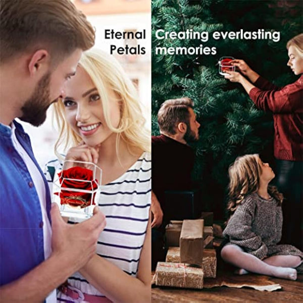 Eternal Petals A 100% Real Rose That Lasts Years, Handmade in London – Gold Solo (Rainbow)