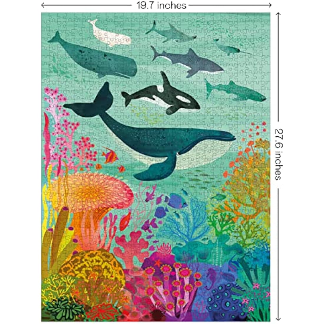 Elena Essex jigsaw puzzles for adults 1000 - Ocean Deep/puzzle/jigsaws 1000 pieces for adults/colourful cool shark whale puzzle/jigsaws size 50x70cm