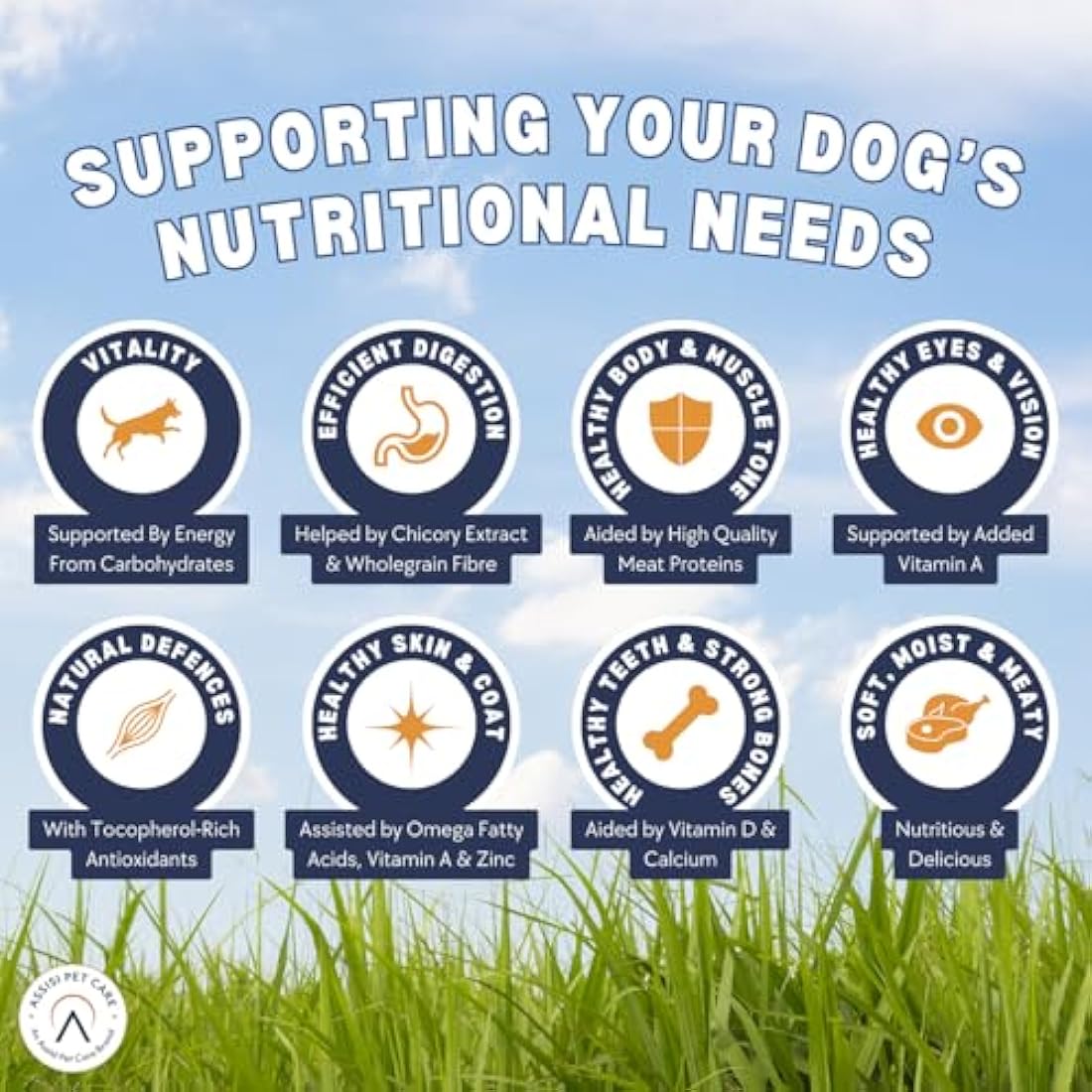 HiLife FEED ME! - Complete Dry Dog Food - Turkey Chicken Bacon Vegetables - Soft Moist & Meaty, 6kg (Packing May Vary)