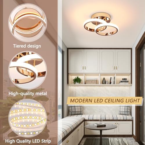 EIDISUNY LED Ceiling Light Modern Ceiling Lamp Gold Round Simple Ceiling Lights Fixture LED for Corridor Kitchen Stairs Hallway Study Room Bedroom Living Room - Chrome Gold 22W Natural Light 4500K.