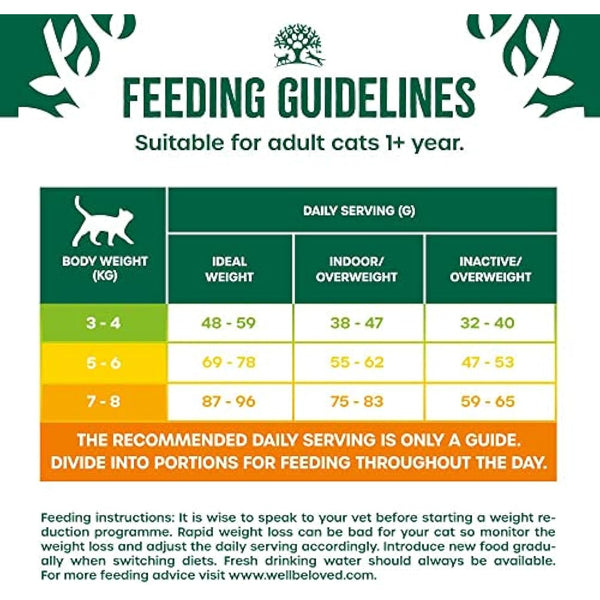 James Wellbeloved Adult Light Turkey 4 kg Bag, Hypoallergenic Dry Cat Food