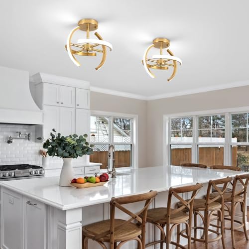 EIDISUNY LED Ceiling Light Elegant Gold Curved Design with 4 Strips 22W LED Ceiling Lights Fixture for Hallway Office Bedroom Kitchen Living Room Dining Room Lights - Gold (Cool White Light 6000K)