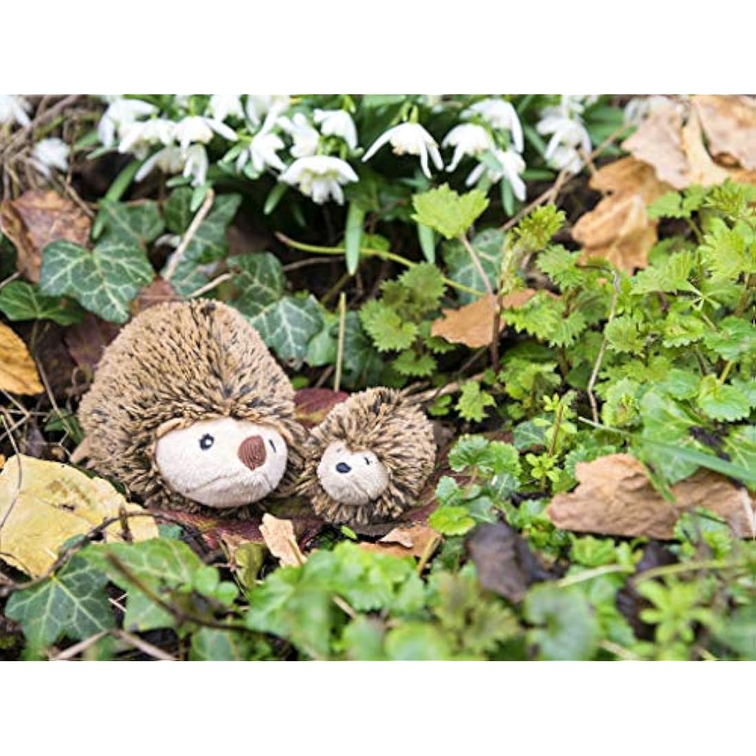 Apples to Pears Sew Me Up Creatures - Hedgehog & Hoglet