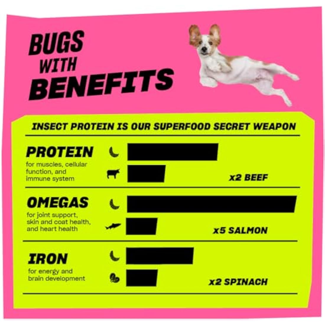 Insect Protein Superfood Dog Treats for Daily Training and High Value Rewards - Grain Free, High Protein and Planet Friendly - Sit Roll Treat Repeat (10 x 100g) - GRUB CLUB
