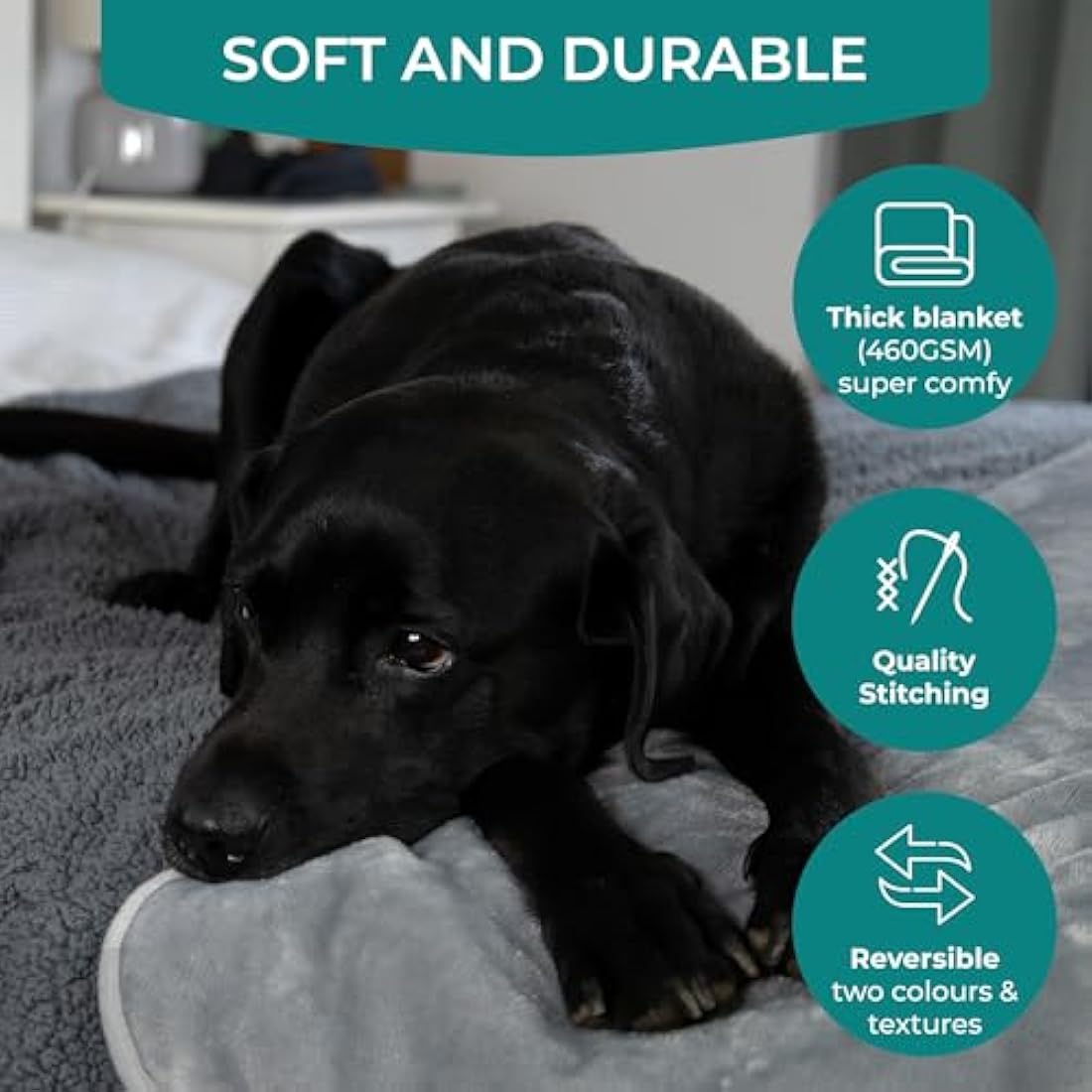 100% Waterproof Dog Blankets for Small & Medium Dogs – Soft Fleece, Washable Pet Throw for Sofa, Car & Furniture Protection, Soft Fluffy Reversible Blanket, 75x100cm, Grey/Grey