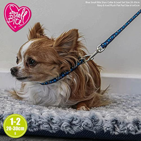 Ancol Small Bite Stars Collar and Lead Set Blue Adjustable Design for Puppies and Small Dogs - 1m Lead with Soft Webbing - 20-30cm
