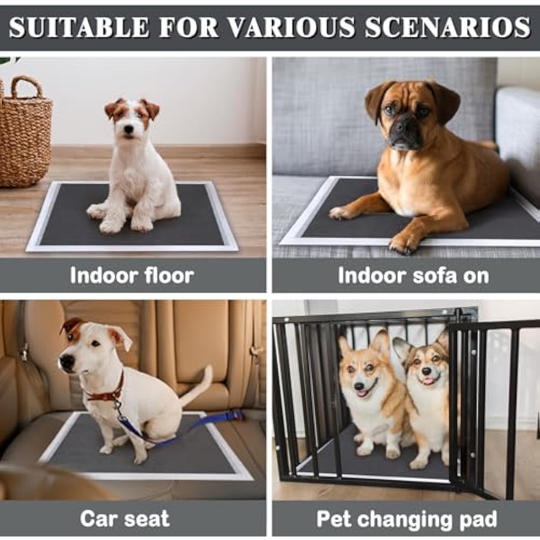 Flying Paws Puppy Pads 50 Pack, 60x90 cm Super Absorbent Pet Dog Training Pads, Leakproof Pee Pad with Charcoal Odour Control, Ideal for Larger Pets Floor Protection Toilet Pee Mat XL-50