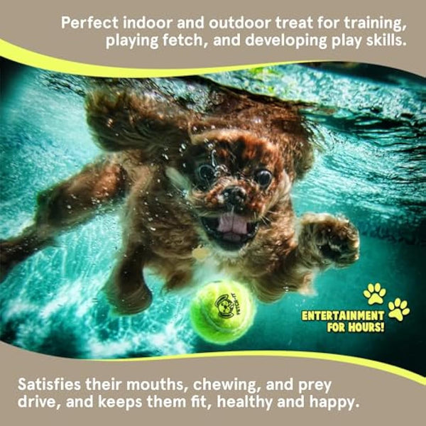 Dog Tennis Balls By Smith’s | 6 Pack | 6.35CM / 2.5” Diameter | 25% Stronger | High Visibility Colours | Tested And Certified | Best For Medium (11KG) to Giant Dogs (45KG)