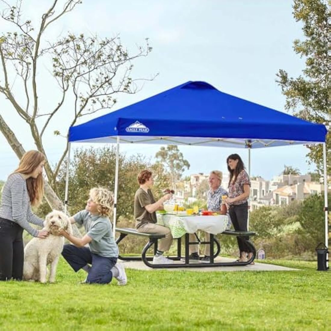 EAGLE PEAK 3m x 3m Pop Up Canopy Tent