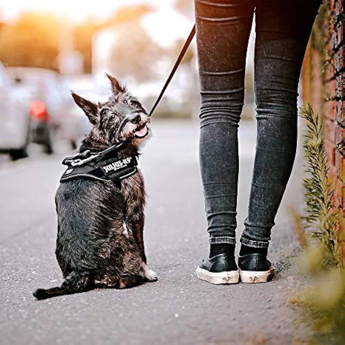 IDC Powerharness, Size: M/0, Dark Pink