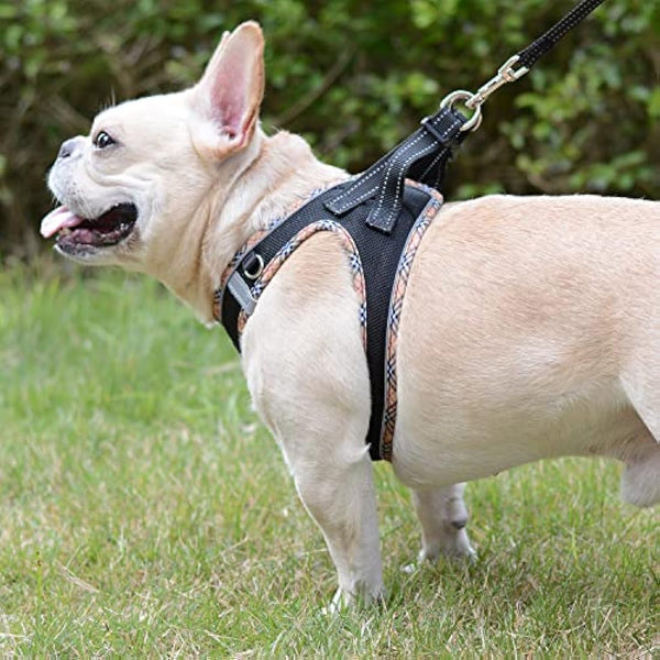 DORAMIO Step-in Dog Harness and Leash Set, Soft Mesh No-Chock Reflective Breathable Easy Walk Lightweight Vest Harnesses with Safety Buckle for Small Dogs, Cats, Puppies (Black Yellow, XS)