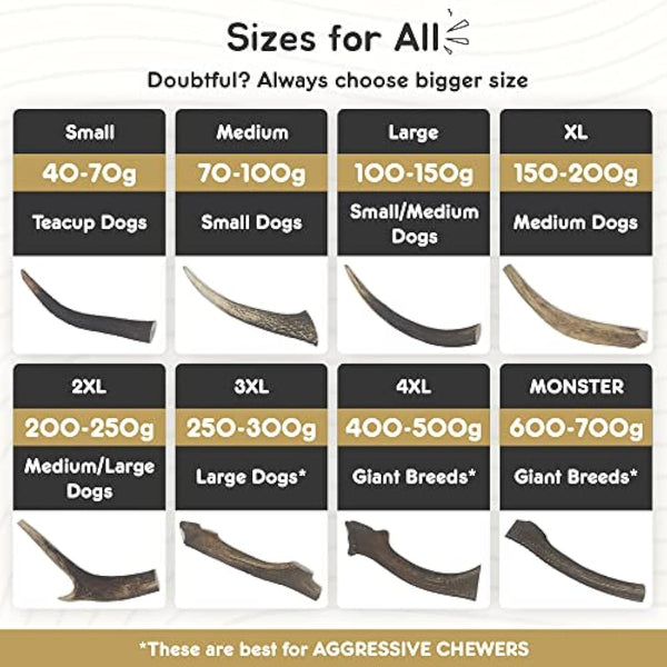 Ace Antlers Deer Antlers for Dogs (XXXXL 400-500g Piece) - Natural Dog Antler Chews for Chewing Satisfaction - 8 Sizes inc Small, Medium and Large Antlers for Puppies and Adult Dogs
