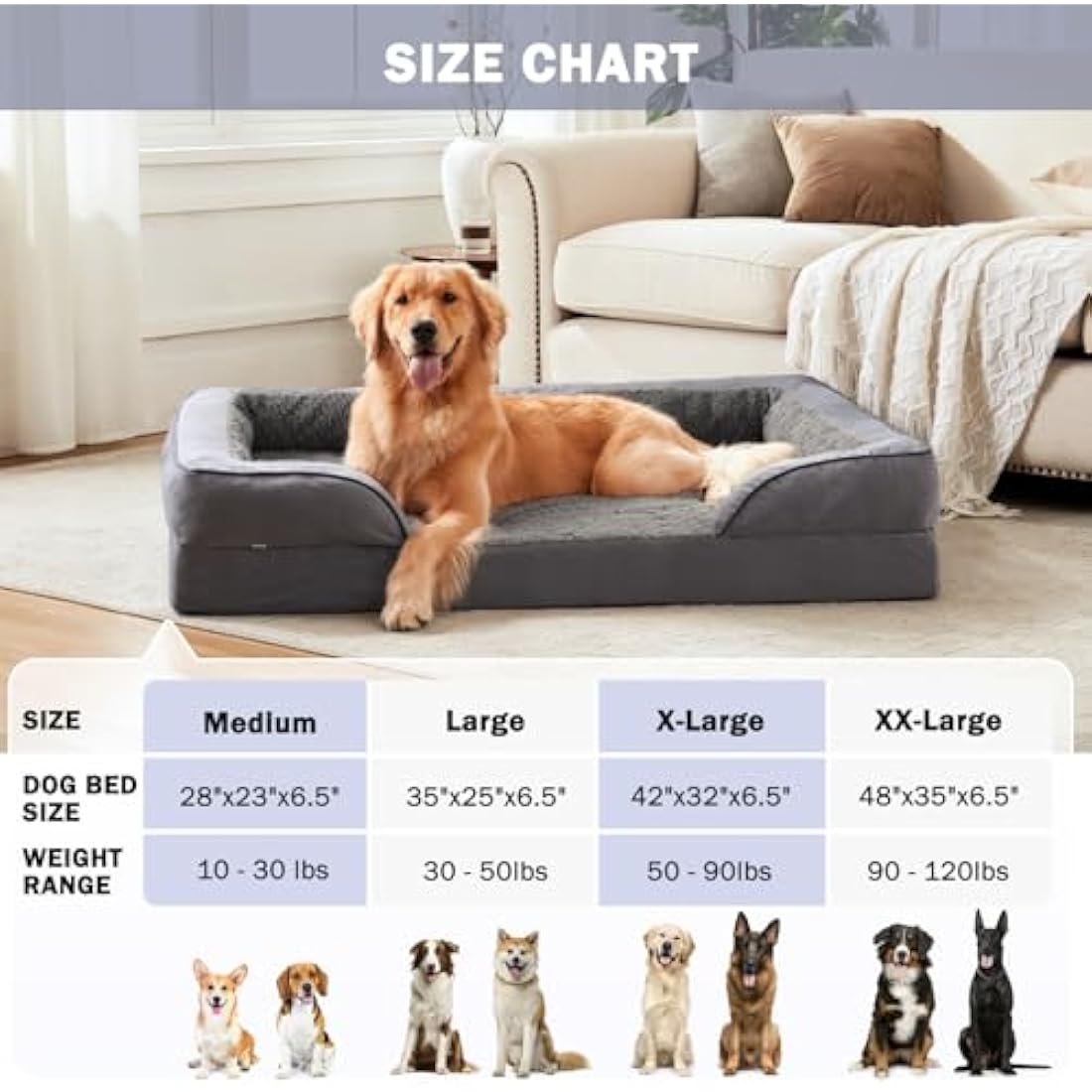 JOEJOY Large Dog Bed, Orthopedic Memory Foam Dog Beds, Washable Pet Bed, Fits up to 50lbs, Good for Doberman Pinscher, Sheltie, Border Collie, Australian Herding Dog