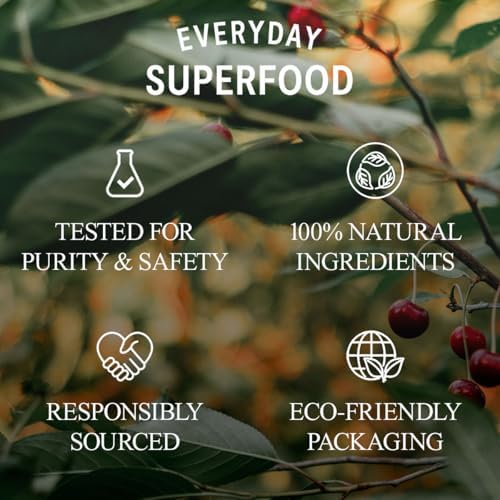 Everyday Superfood Raw Pistachio Kernels 1kg | Certified & Tested for Aflatoxin | Shelled, Unsalted, No Hidden Oils | for Snack or Baking