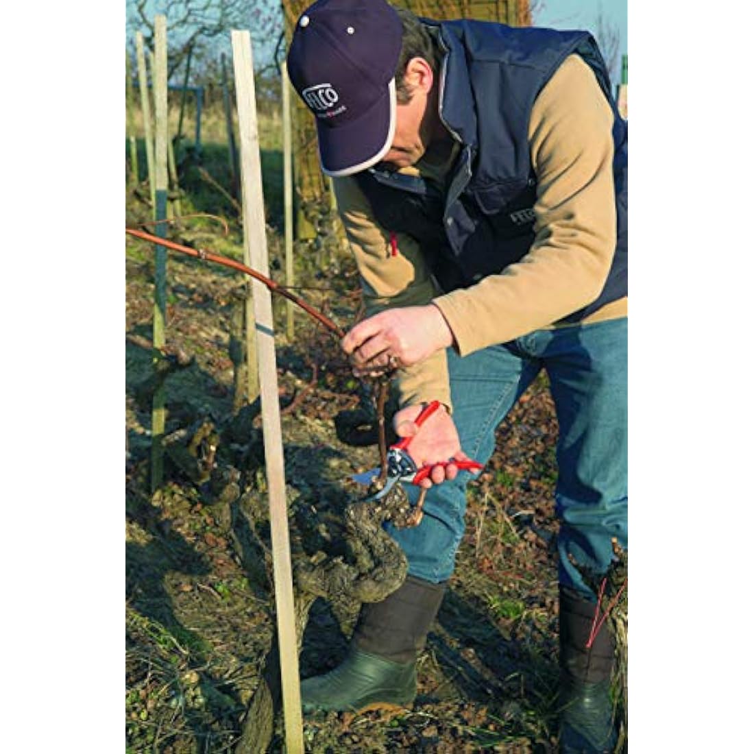 Felco Right Handed Secateurs Model 11 Large Hands Forged Alloy Original Design Floristry Gardening Horticulture Vineyard Bonsai Topiary Olive Grove Made in Switzerland