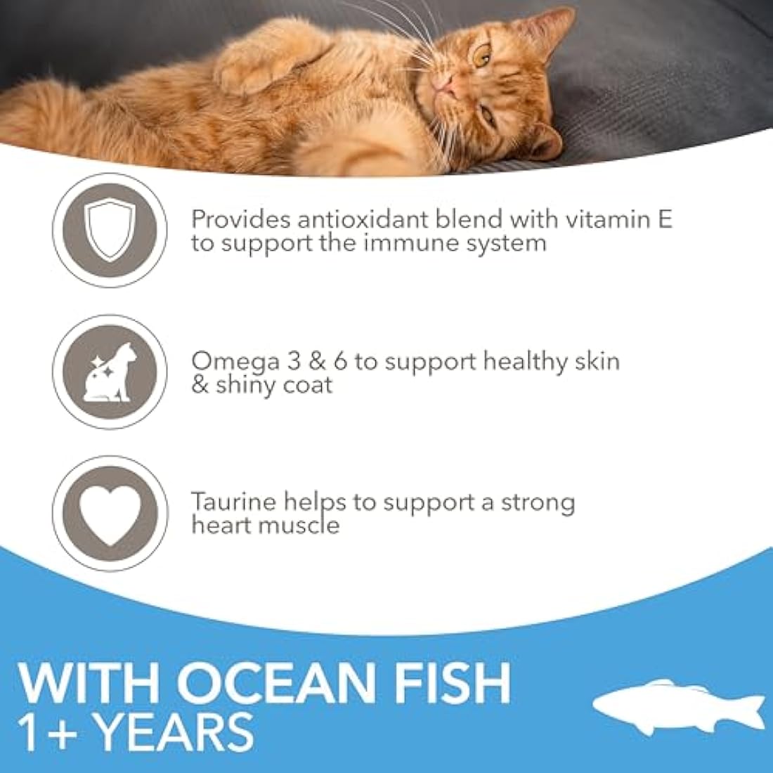 IAMS Adult Complete Dry Cat Food Ocean Fish 10kg - Supports Strong Immune System