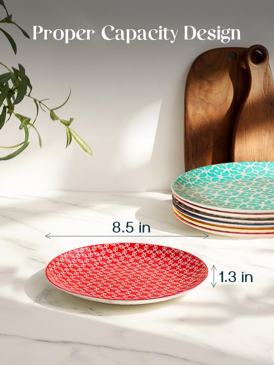 DOWAN 21.6cm Colorful Side Plates, Dessert Plates for Salad, Pasta, Pancakes, Steak - Small Serving Plates for Party, Wedding, Easter, Restaurant,