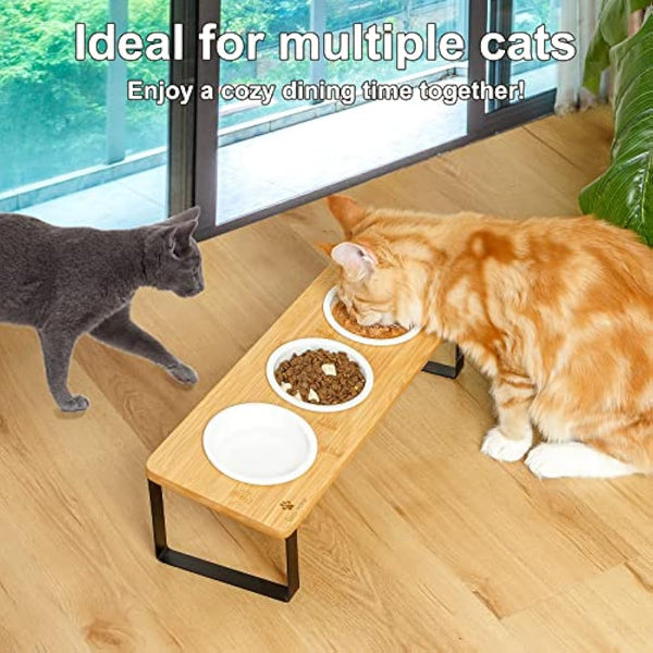 GUUSII HOME Raised Cat Bowl with Stand Kitty Dish Ergonomic Elevated Feeding Station 15° Tilted Ceramic Food and Water Bowls Set of 3 for Indoor Cats Pet Puppy Plate Anti Vomit Easy to Clean