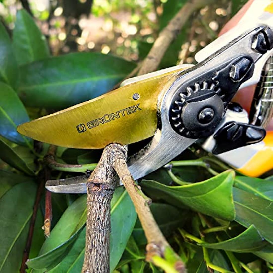 GRÜNTEK Z-25 Titanium Bypass Secateurs – 215mm Ergonomic Garden Pruning Shears with Japanese SK5 Blade | Tree, Vine & Garden Maintenance