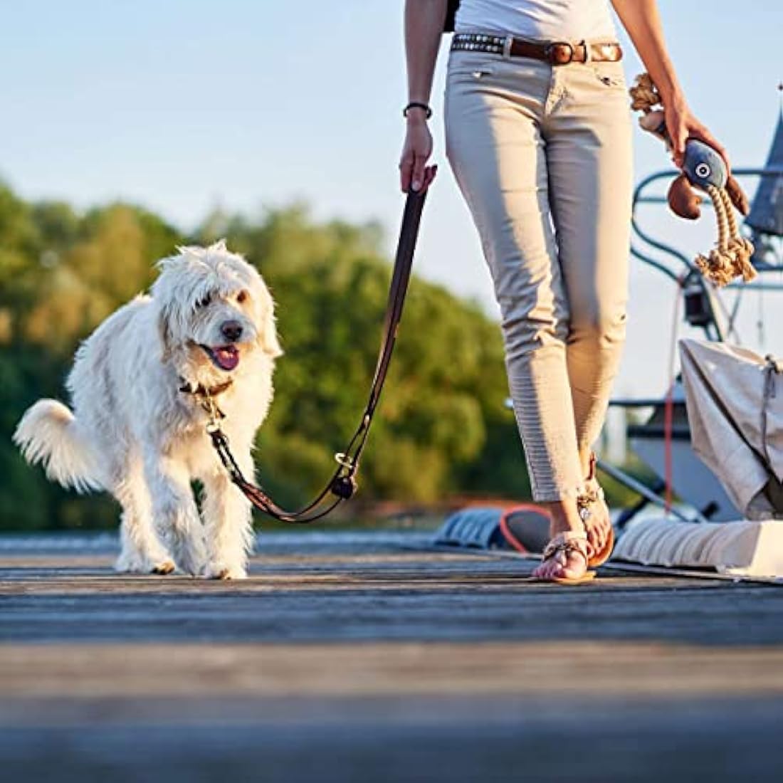 HUNTER Sansibar Solid Dog Collar Leather Heavy Duty Grippy Braided 65 (L) Dark Brown