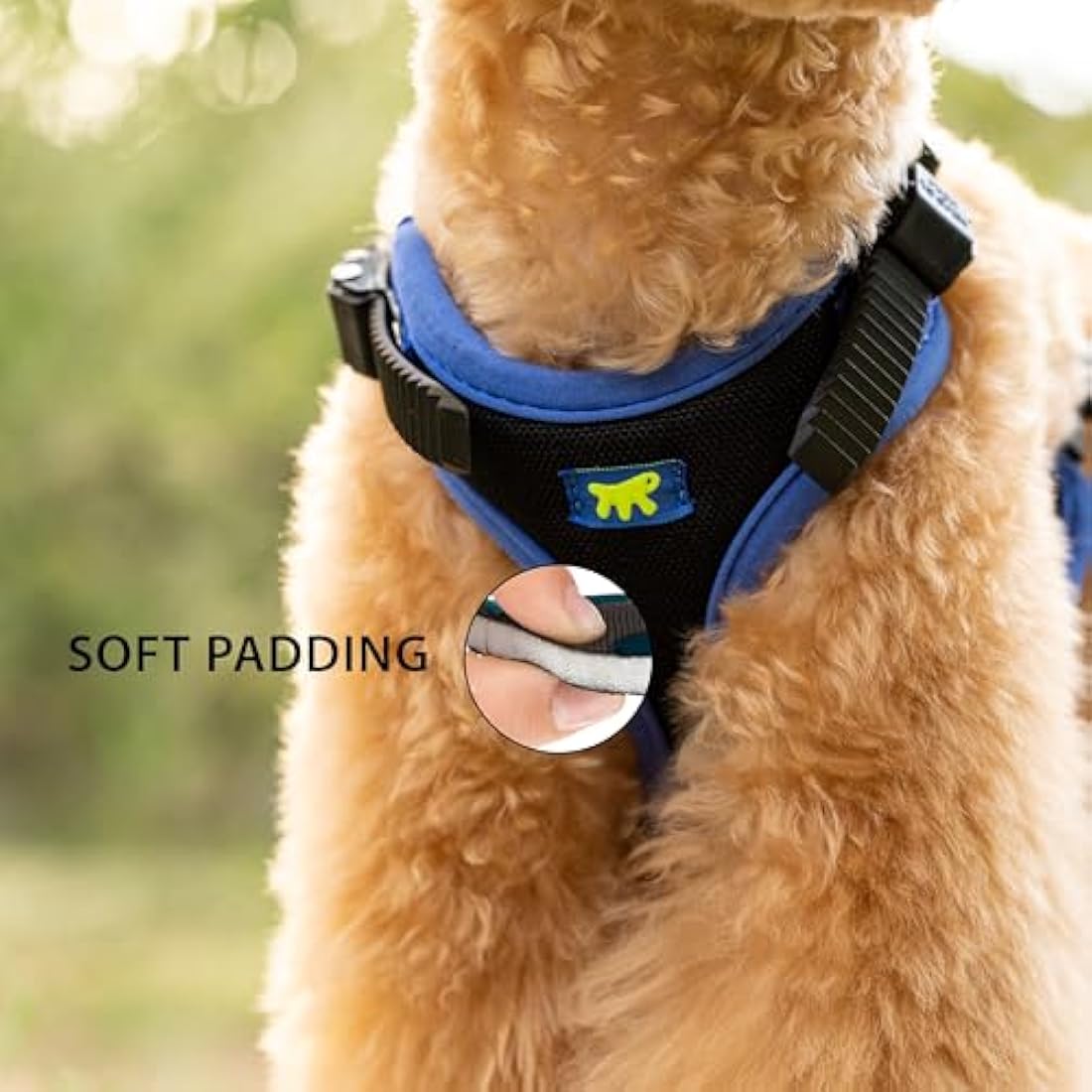 Ferplast Small Size Dog Harness ERGOCOMFORT SMALL, Adjustable Dog Harness, Comfortable, Padded, Double Micro-adjustment Closure, Quick Release, Blue