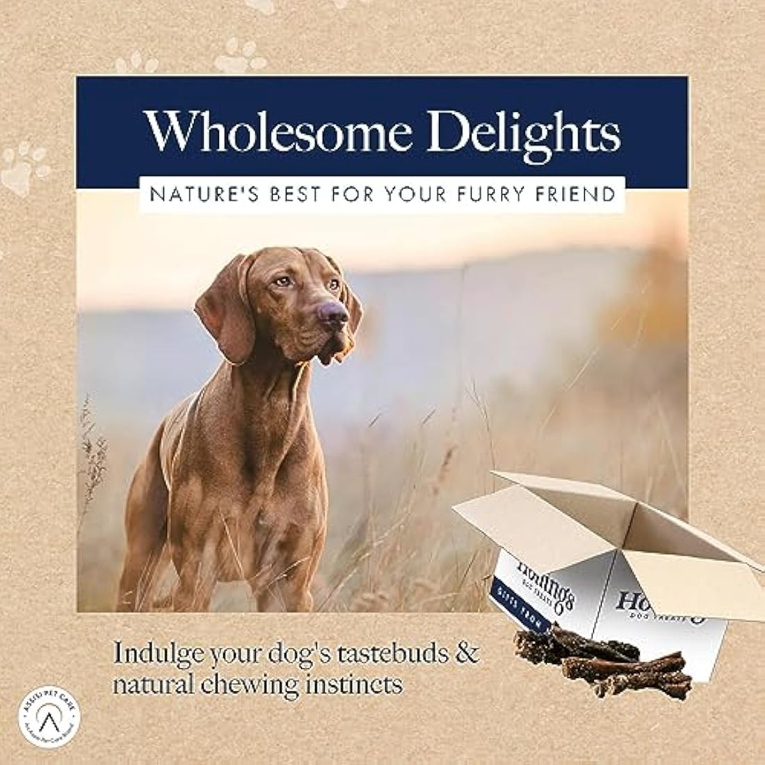 Hollings Tripe Sticks Dog Treats, 100% Natural Air Dried Chews for Adult Dogs, Grain Free & High in Protein (2.5kg)