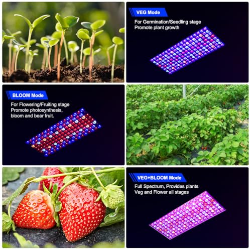 2024 Upgraded BW1000 LED Grow Lights Double Chips Full Spectrum with 3-Metre Cable for Greenhouse and Indoor Plant Veg and Flower Growing[White]
