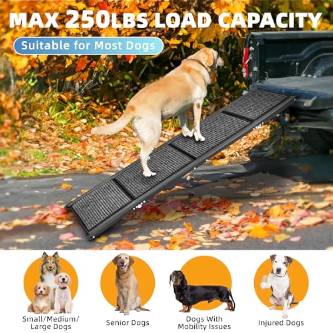 Papettly Folding Dog Ramp - 158 * 44CM, Anti-Slip Surface, Portable Pet Stair Ramp for Large Dogs Up to 250LBS/113KG, Suitable for Cars, SUVs & Trucks