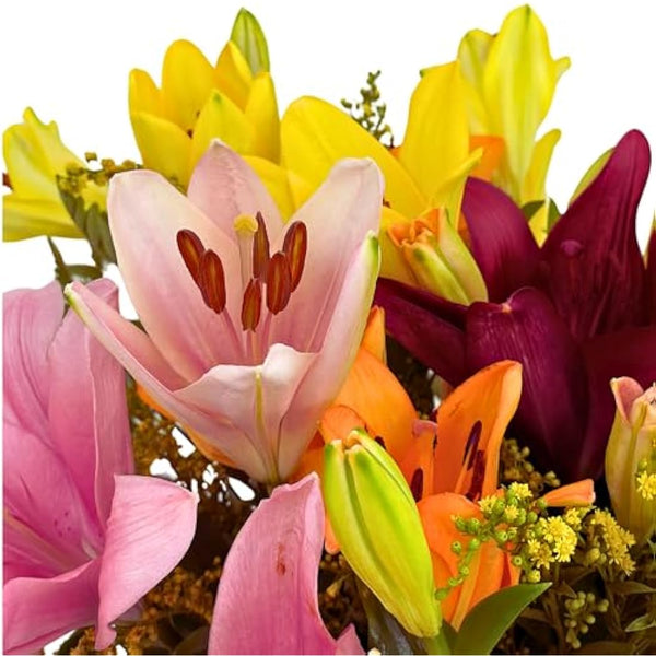 Homeland Florists Asiatic Lily Fresh Flowers Delivery Next Day Prime, Send a Luxury Gift Wrapped Bouquet of Lilies with Personalised Handwritten Card