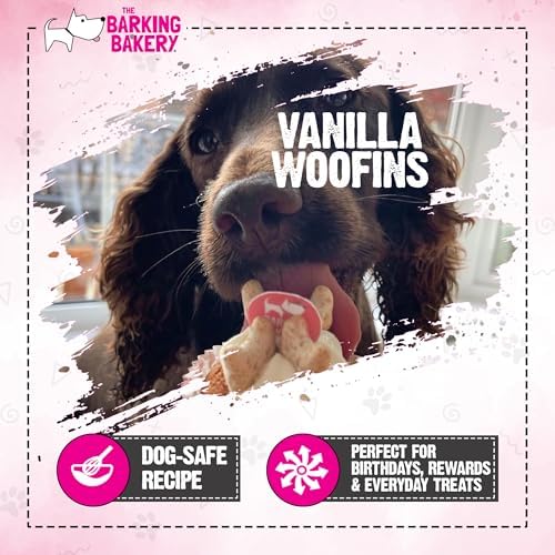 DOG BIRTHDAY CAKE Dog Food | Dog Biscuits Dog Treats Puppy Treats. Dog Training Treats Puppy Training Treats. Bakery Fresh Dog Treat. Vanilla Woofin With Frosting Dog Birthday Present (Vanilla)