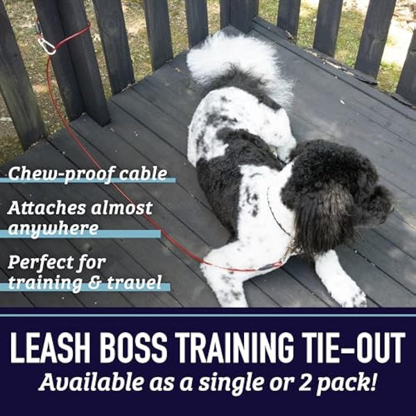 Leash Boss - 5 Foot Dog Tie Out Cable for Large Dogs - Heavy Duty Tether for Outside Dog Runner - Durable, Chew-Proof, Dog Lead for Yard, Camping, and Training Classic Red
