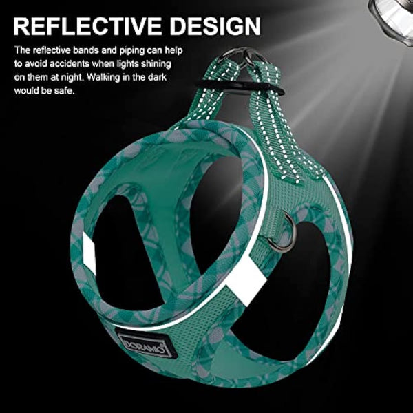 DORAMIO Step-in Dog Harness and Leash Set, Soft Mesh No-Chock Reflective Breathable Easy Walk Lightweight Vest Harnesses with Safety Buckle for Small Dogs, Cats, Puppies (Light Green, XL)