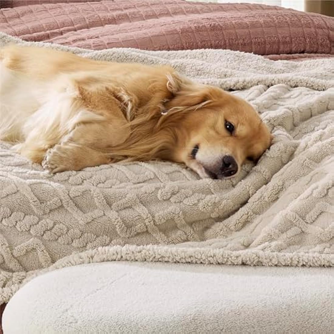 Lesure Washable Dog Blanket Twin - 152x203cm Waterproof Blanket for Dogs and Cats, Twin Patterned Bed and Sofa Couch Throw Protector with Soft Plush, Cream