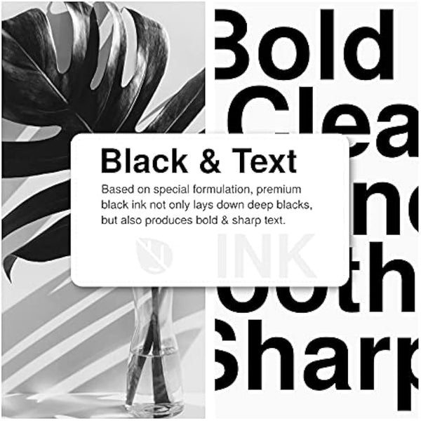 Economink PG-575XL 575 Ink Cartridges XL, Replacement for Canon 575XL Ink Cartridges, Compatible with PIXMA TS3550i TS3551i TR4750i TR4751i Printers (2 Black) Multipack