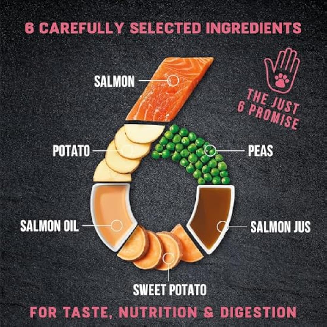 Harringtons Just 6 Complete Grain Free Hypoallergenic Salmon & Veg Dry Adult Dog Food 2kg (Pack of 4) - With Added Fresh Baked Bites