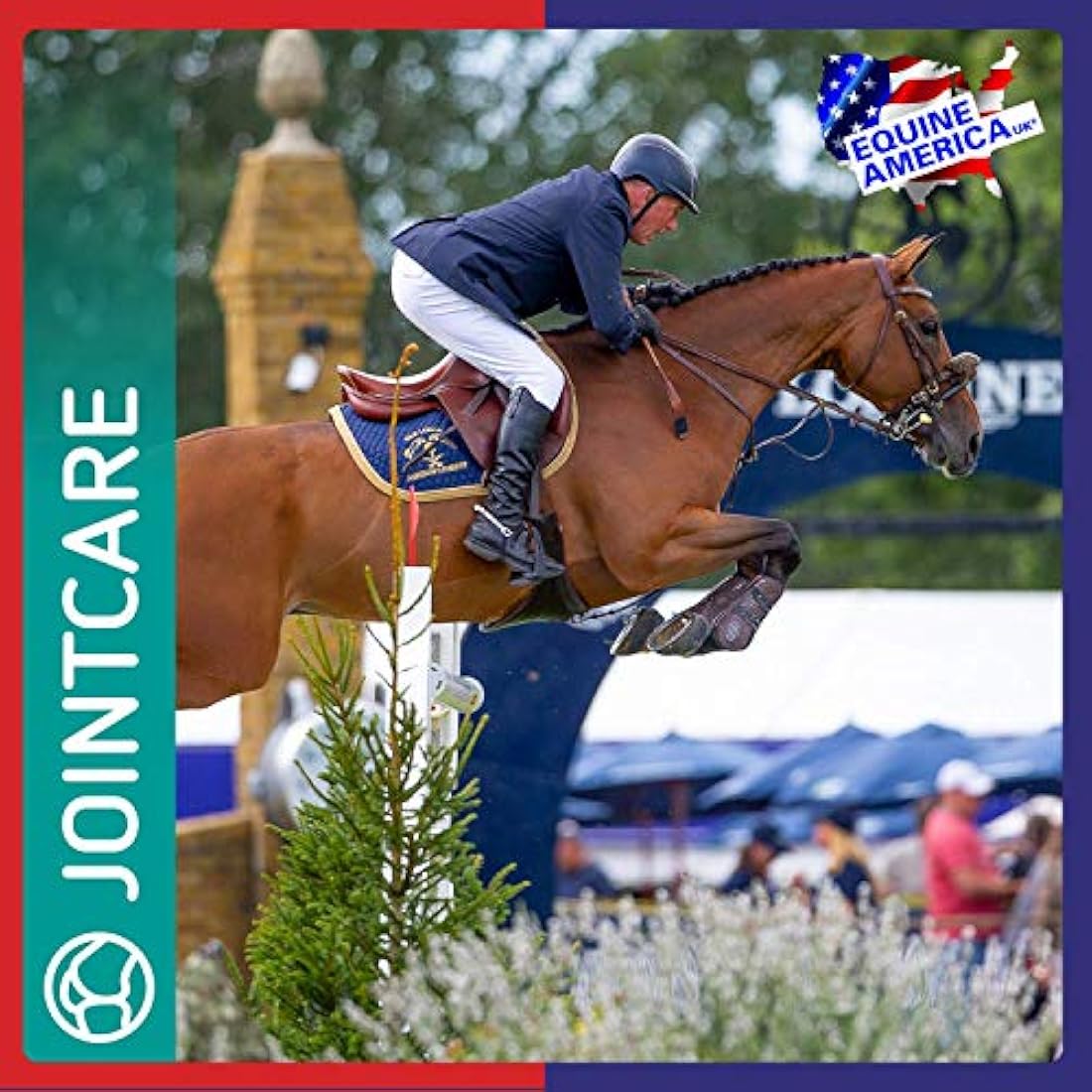 Equine America Glucosamine HCI 12000 | Premium Ready To Use Horse & Pony Supplement | Support For Joints & Mobility | 1kg