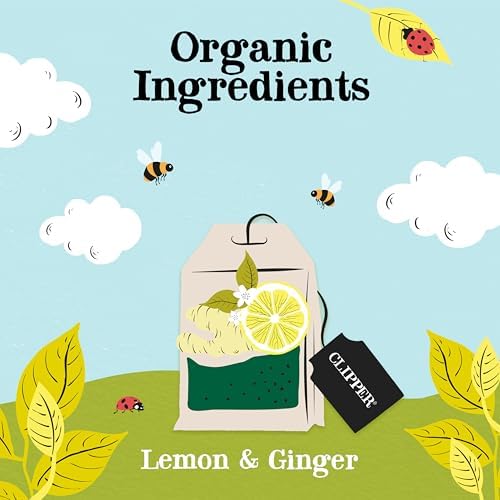 Clipper Organic Lemon & Ginger Tea Bags | 250 Individually Wrapped Teabags | Bulk Buy, Home & Catering | Caffeine-Free Herbal Tea Bags | Eco-Conscious, Natural, Unbleached & Biodegradable