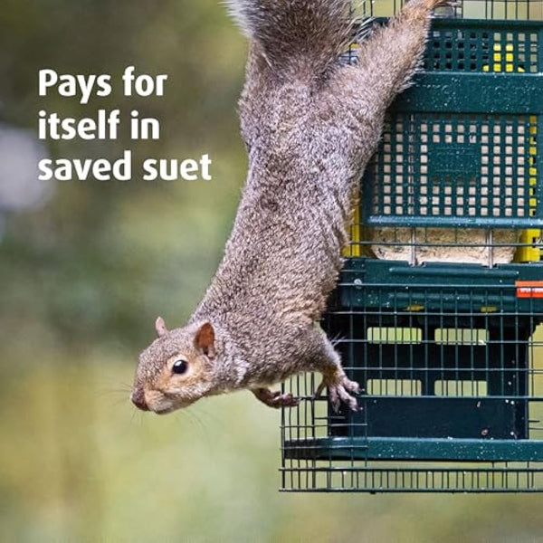 Squirrel-proof Bird Feeder for Suet Cakes - Jacobi Jayne Squirrel Buster Suet – Pigeon Proof Metal Bird Suet Feeder for Wild Birds – Easy Clean Hanging Suet Bird Feeder for Garden Birds