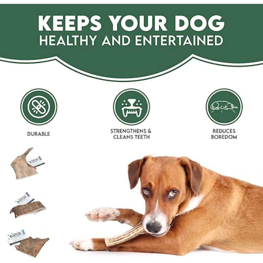 Highland Antler - Natural Fallow Antler Dog Chew. Pack of 1x Large (150g - 220g) Naturally Shed Fallow Deer Antler, Long Lasting Dog Chew Bone With Calcium And Minerals (Shape may vary)