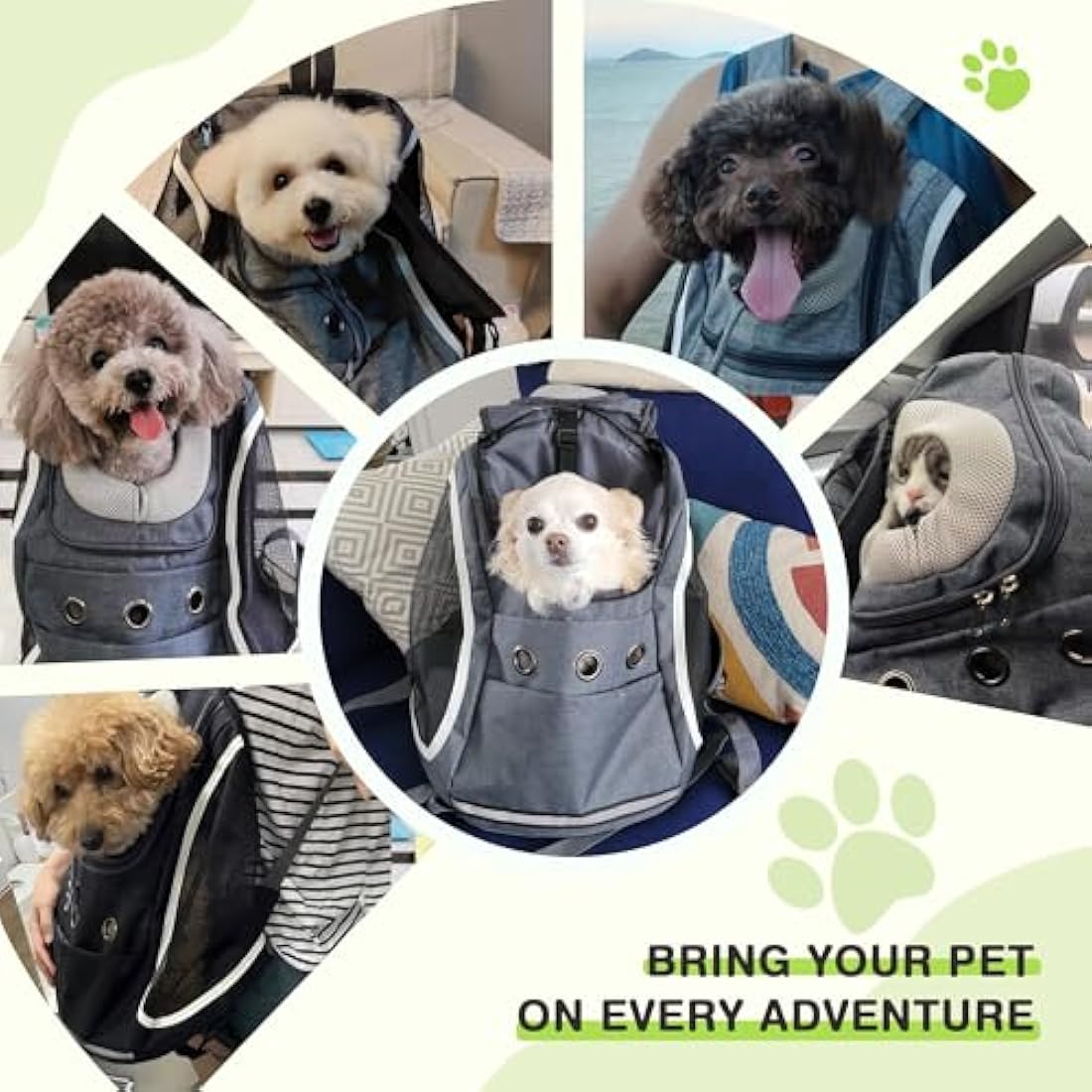 ALLSOPETS Dog Backpack Portable Cat Carrier Bag Travel Pet Backpack for Small Dog Cats Breathable Dog Rucksack Pet Carrying Bag for Travel Hiking Camping Outdoor (Carbon Black)