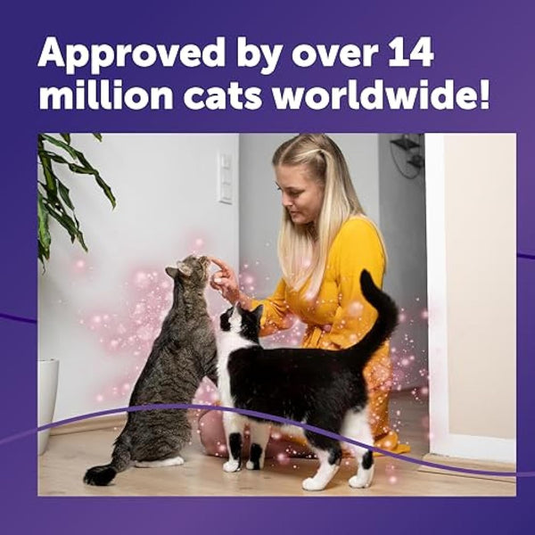 FELIWAY Friends 30 Day Cat Calming Plug In Pheromone Diffuser Starter Kit, 48ml - Helps create harmony and resolve conflict in multi cat households, Veterinary Recommended, Clinically Proven