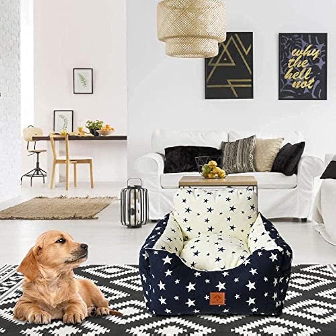 2 in 1 Dog Car Seat Washable and Stain Resistant Pet Booster Seat for Small and Medium Dogs Cats Super Soft PP Cotton Travel Safety Pet Car Seat with Storage Bag and Harness Strap (Navy Star)